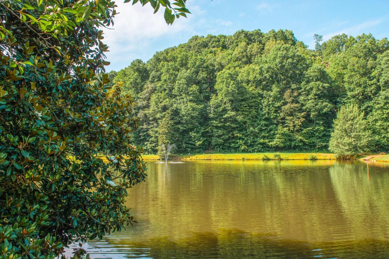 Вилла Star Seasons Retreat Эллиджей Экстерьер фото